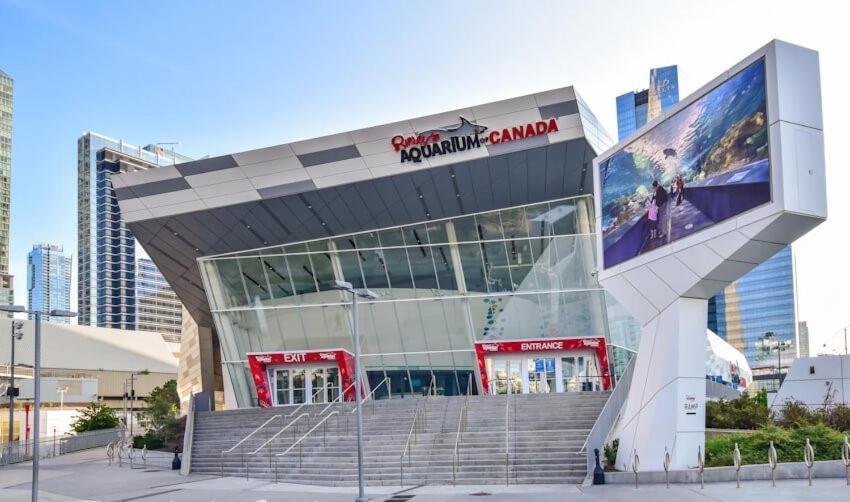 3 Bedroom Beside Cn Tower With Parking Downtown Toronto Exterior foto